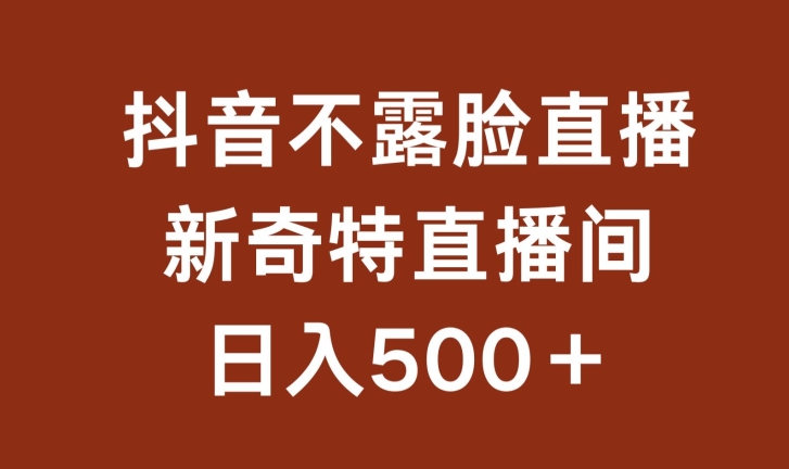 不露脸挂机直播，新奇特直播间，日入500+【揭秘】-文强博客