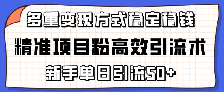 精准项目粉高效引流术，新手单日引流50+，多重变现方式稳定赚钱【揭秘】-文强博客