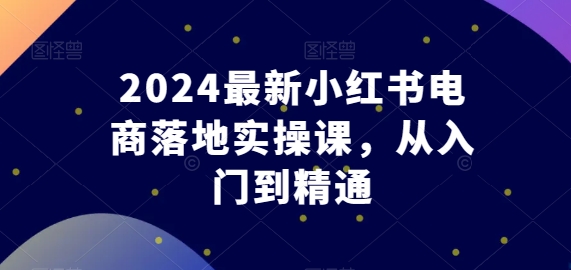 2024最新小红书电商落地实操课，从入门到精通-文强博客