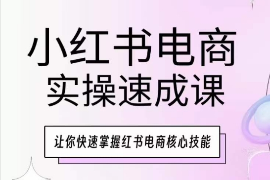 小红书电商实操速成课，让你快速掌握红书电商核心技能-文强博客