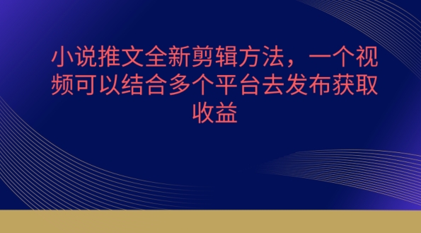 小说推文全新剪辑方法，一个视频可以结合多个平台去发布获取【揭秘】-文强博客