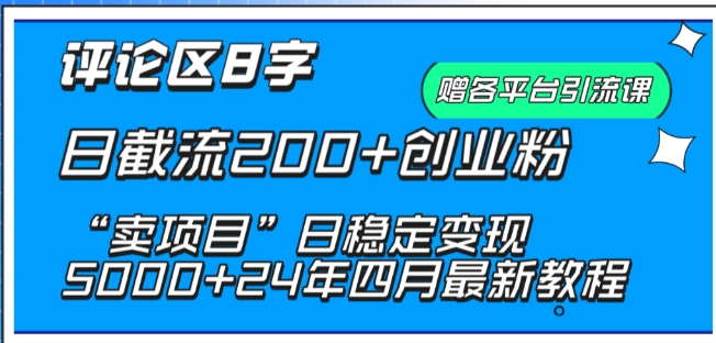 抖音评论区8字日截流200+创业粉 “卖项目”日稳定变现5000+【揭秘】-文强博客