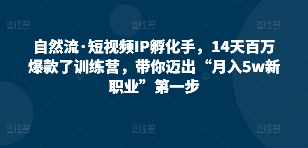 自然流·短视频IP孵化手，14天百万爆款了训练营，带你迈出“月入5w新职业”第一步-文强博客