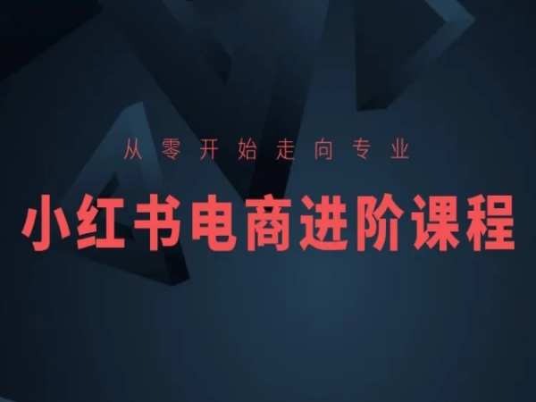 从零开始走向专业，小红书电商进阶课程-文强博客