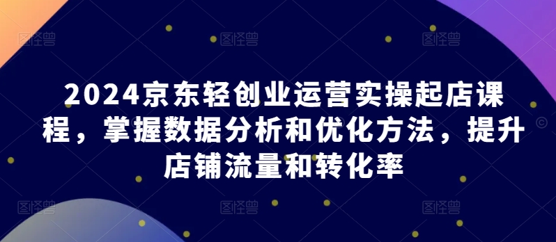 2024京东轻创业运营实操起店课程，掌握数据分析和优化方法，提升店铺流量和转化率-文强博客