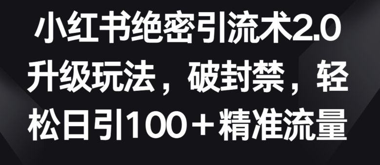 小红书绝密引流术2.0升级玩法，破封禁，轻松日引100+精准流量【揭秘】-文强博客