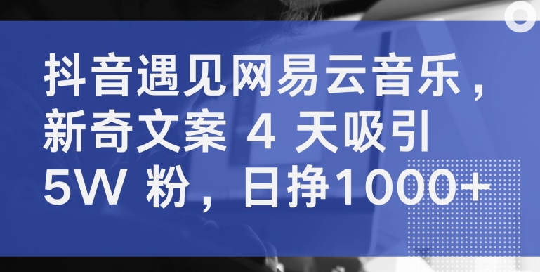 抖音遇见网易云音乐，新奇文案 4 天吸引 5W 粉，日挣1000+【揭秘】-文强博客