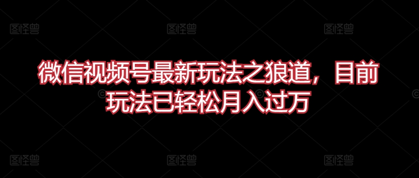 微信视频号最新玩法之狼道，目前玩法已轻松月入过万【揭秘】-文强博客