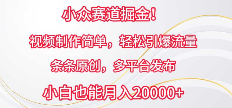 小众赛道掘金，视频制作简单，轻松引爆流量，条条原创，多平台发布【揭秘】-文强博客