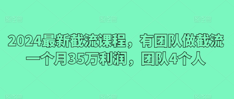 2024最新截流课程，有团队做截流一个月35万利润，团队4个人-文强博客