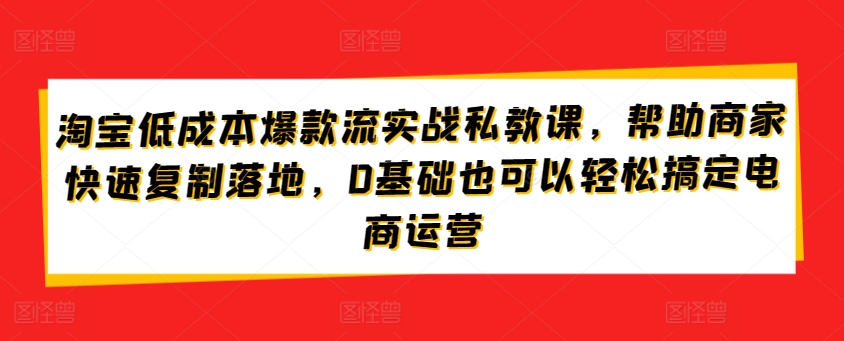 淘宝低成本爆款流实战私教课，帮助商家快速复制落地，0基础也可以轻松搞定电商运营-文强博客