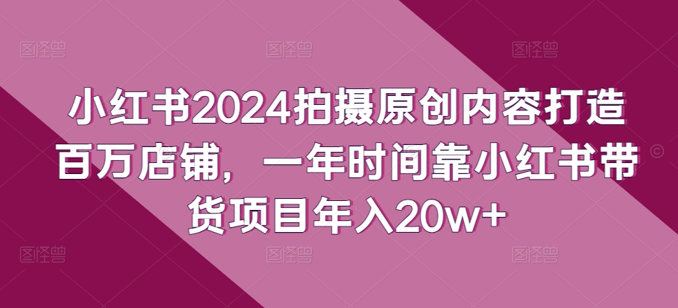 小红书2024拍摄原创内容打造百万店铺，一年时间靠小红书带货项目年入20w+-文强博客