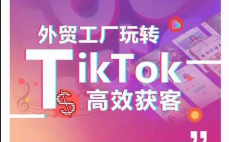 外贸工厂玩转TikTok高效获客，多种引流方式与账号定位技巧，拆解爆款短视频打造成功案例-文强博客