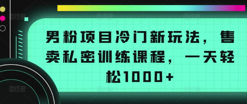 男粉项目冷门新玩法，售卖私密训练课程，一天轻松1000+【揭秘】-文强博客