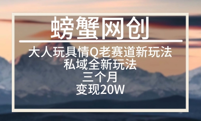 大人玩具情Q用品赛道私域全新玩法，三个月变现20W，老项目新思路【揭秘】-文强博客