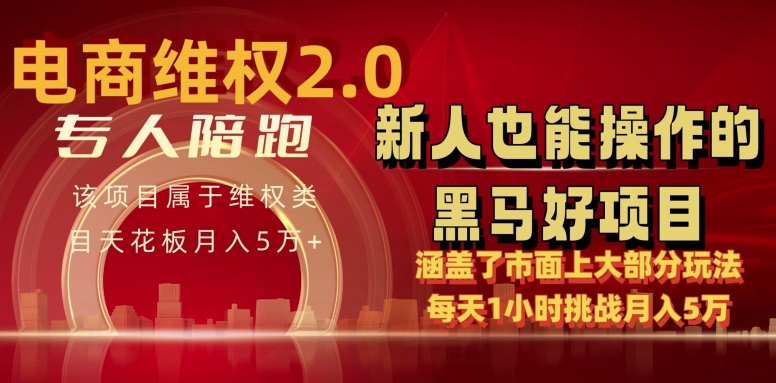 电商维权 4.0 如何做到月入 5 万+每天 1 小时新人也能快速上手【仅揭秘】-文强博客