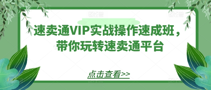 速卖通VIP实战操作速成班，带你玩转速卖通平台-文强博客