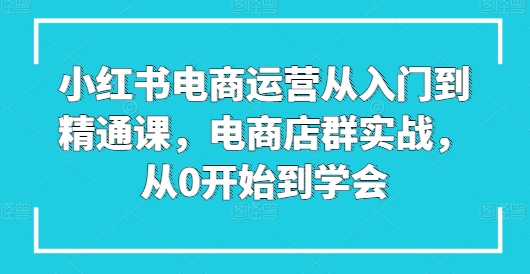 小红书电商运营从入门到精通课，电商店群实战，从0开始到学会-文强博客