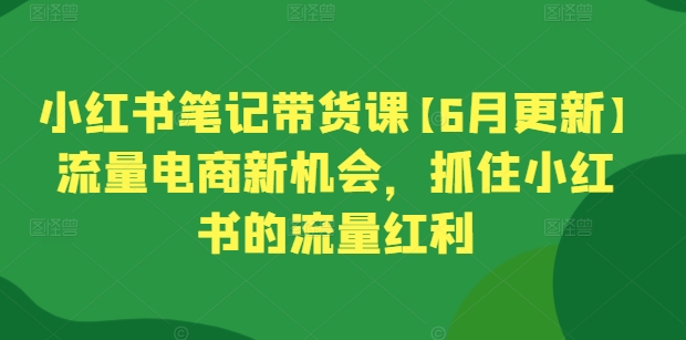 小红书笔记带货课【6月更新】流量电商新机会，抓住小红书的流量红利-文强博客