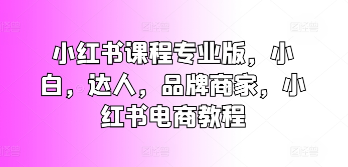 小红书课程专业版，小白，达人，品牌商家，小红书电商教程-文强博客