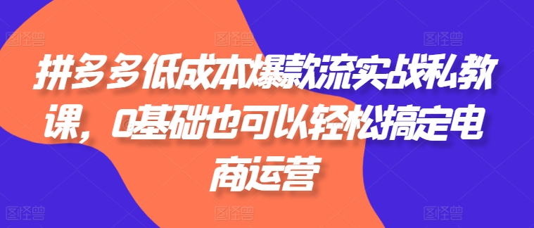 拼多多低成本爆款流实战私教课，0基础也可以轻松搞定电商运营-文强博客