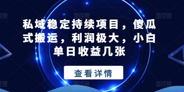 私域稳定持续项目，傻瓜式搬运，利润极大，小白单日收益几张【揭秘】-文强博客