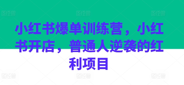 小红书爆单训练营，小红书开店，普通人逆袭的红利项目-文强博客