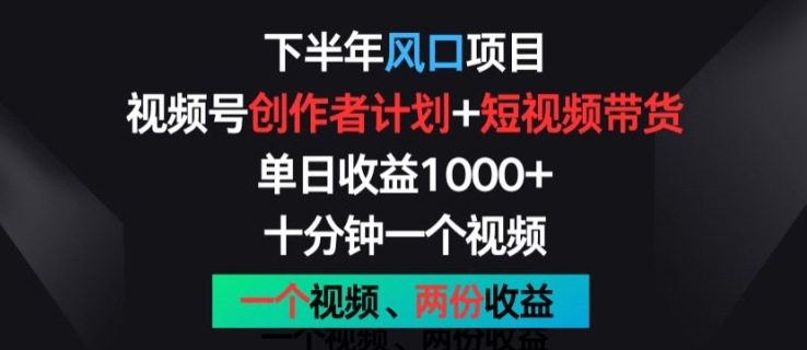 下半年风口项目，视频号创作者计划+视频带货，一个视频两份收益，十分钟一个视频【揭秘】-文强博客