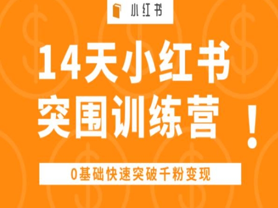 14天小红书突围训练营 ，0基础快速突破千粉变现-文强博客