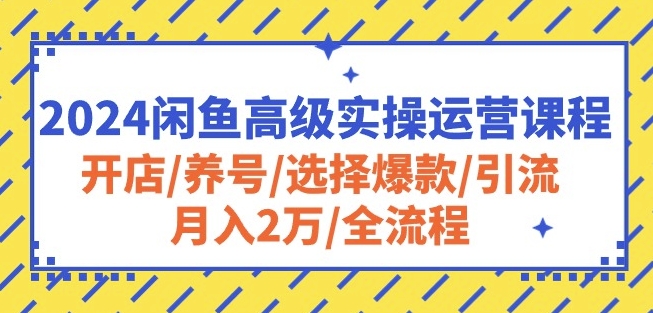 2024闲鱼高级实操运营课程：开店/养号/选择爆款/引流/月入2万/全流程-文强博客