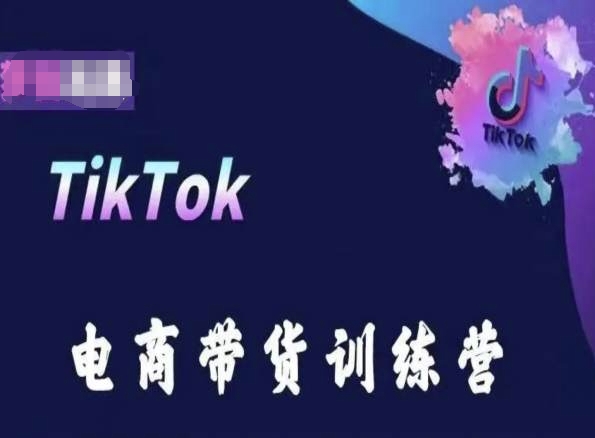 TikTok电商带货训练营，跟随时代潮流，跨境掘金-文强博客