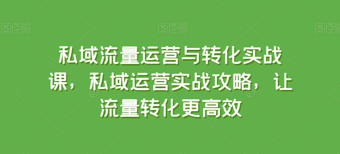 私域流量运营与转化实战课，私域运营实战攻略，让流量转化更高效-文强博客