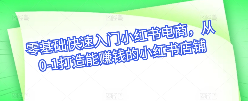 零基础快速入门小红书电商，从0-1打造能赚钱的小红书店铺-文强博客