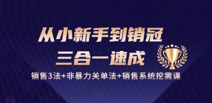 从小新手到销冠 三合一速成：销售3法+非暴力关单法+销售系统挖需课 (27节)-文强博客