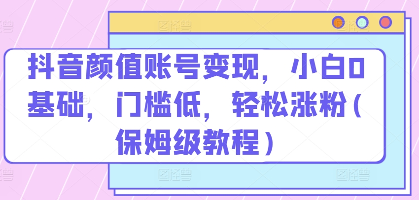 抖音颜值账号变现，小白0基础，门槛低，​轻松涨粉(保姆级教程)【揭秘】-文强博客