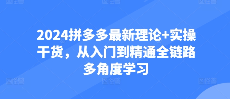 2024拼多多最新理论+实操干货，从入门到精通全链路多角度学习-文强博客