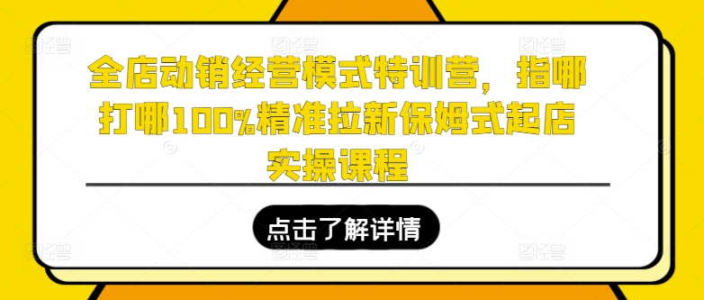 全店动销经营模式特训营，指哪打哪100%精准拉新保姆式起店实操课程-文强博客