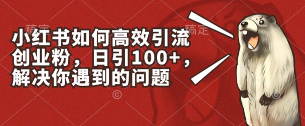 小红书如何高效引流创业粉，日引100+，解决你遇到的问题【揭秘】-文强博客