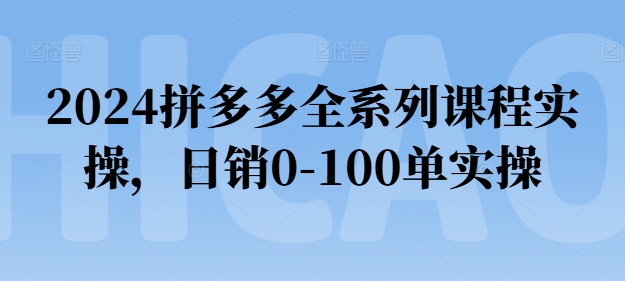 2024拼多多全系列课程实操，日销0-100单实操【必看】-文强博客