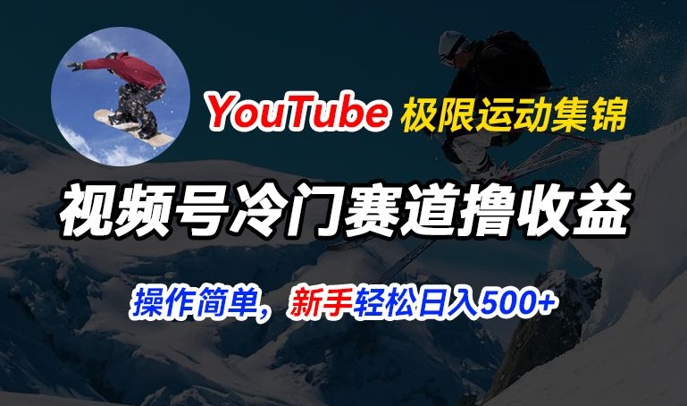 视频号冷门赛道撸收益，YouTube搬运极限运动集锦，暴力起号，操作简单流量高，轻松日入5张【揭秘】-文强博客