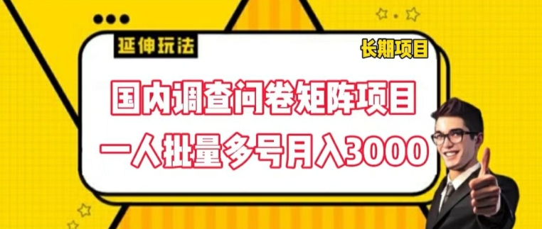 国内调查问卷矩阵项目，一人批量多号月入3000【揭秘】-文强博客