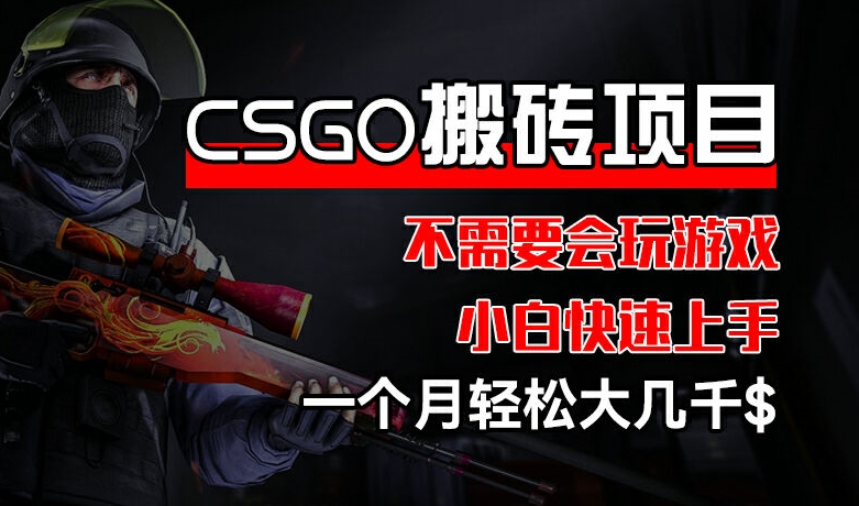 CSGO 装备搬砖项目，操作简单，不需要会玩游戏，小白也能快速上手，一个月轻松大几千【揭秘】-文强博客