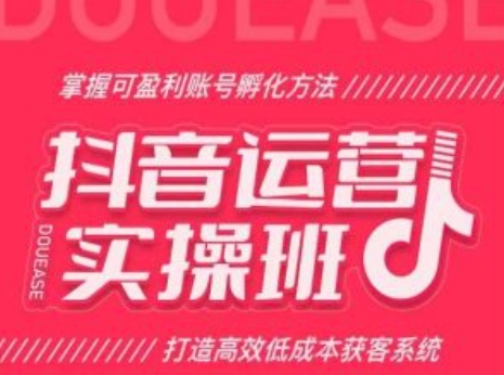 抖音运营实操班，掌握可盈利账号孵化方法，打造高效低成本获客系统-文强博客