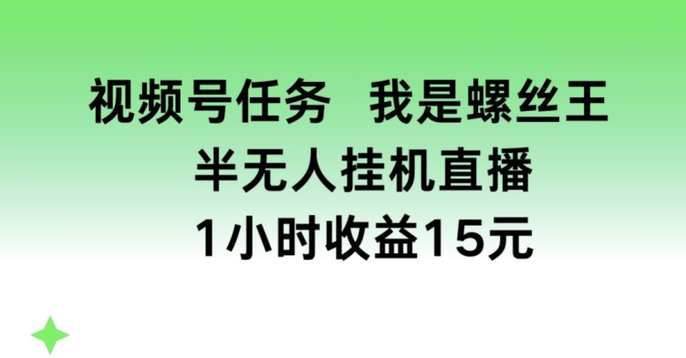 视频号任务，我是螺丝王， 半无人挂机1小时收益15元【揭秘】-文强博客