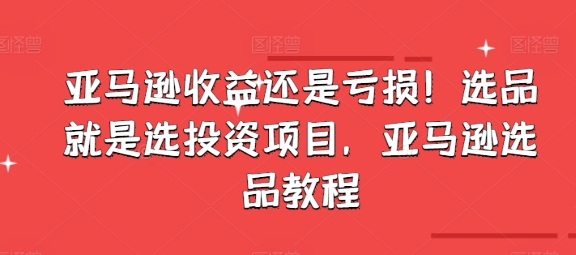 亚马逊收益还是亏损！选品就是选投资项目，亚马逊选品教程-文强博客