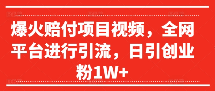 爆火赔付项目视频，全网平台进行引流，日引创业粉1W+【揭秘】-文强博客