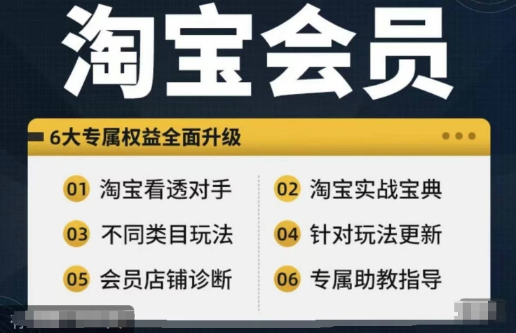 淘宝会员【淘宝所有课程，全面分析对手】，初级到高手全系实战宝典-文强博客