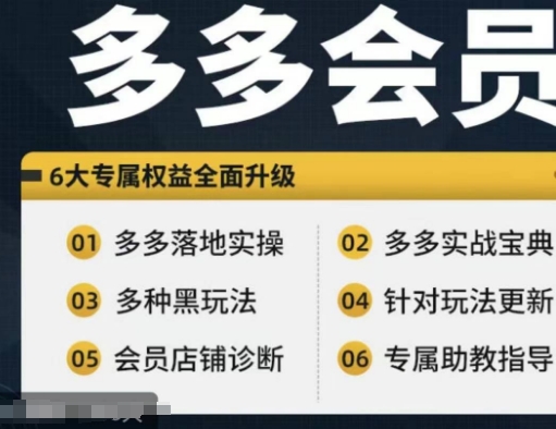 拼多多会员，拼多多实战宝典+实战落地实操，从新手到高阶内容全面覆盖-文强博客