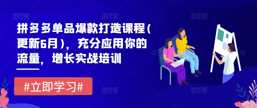 拼多多单品爆款打造课程(更新6月)，充分应用你的流量，增长实战培训-文强博客