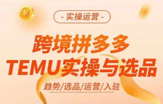 跨境拼多多TEMU实操与选品，多多temu跨境选品运营实操-文强博客